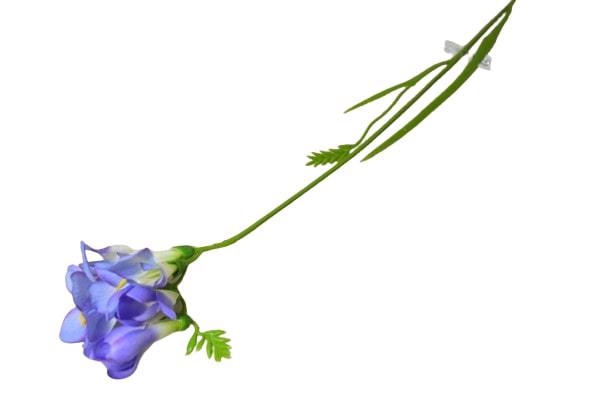 Frézie single 6 květů 56cm modrá