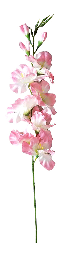 Gladiola 76cm světle růžová 