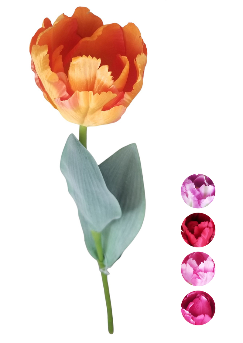 Tulipán jednotlivý 2 listy mix barvy 