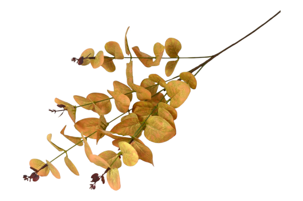 Eukalyptus podzimní 74cm žlutozelený