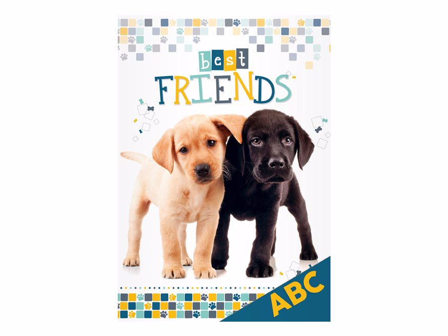 Desky na ABC MFP A4 - PES/BEST FRIENDS